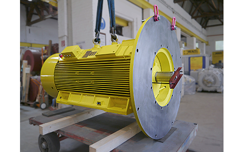 Menzel Elektromotoren Provides Pump Motor with Special Flange for Chemical Plant